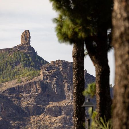 Casa Maria With Roque Nublo View Daire Tejeda  Dış mekan fotoğraf