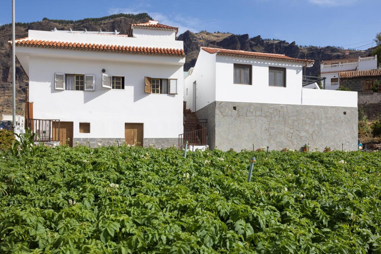 Casa Maria With Roque Nublo View Daire Tejeda  Dış mekan fotoğraf